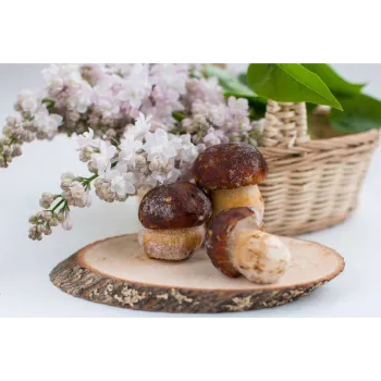 Frozen Mushrum (48)-9517844-27987.webp